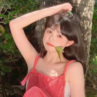 宫廷心计旧版下载